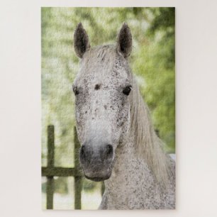 Puzzle Caballo de Appaloosa