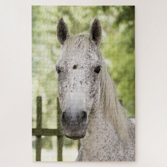 Puzzle Caballo de Appaloosa (Vertical)