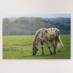 Puzzle Caballo de Appaloosa pastoreando en un campo