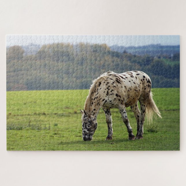 Puzzle Caballo de Appaloosa pastoreando en un campo (Horizontal)
