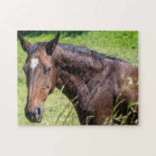 Puzzle Caballo de castaño cerrado