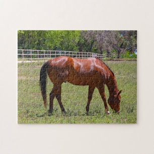Puzzle Caballo de castaño en un campo