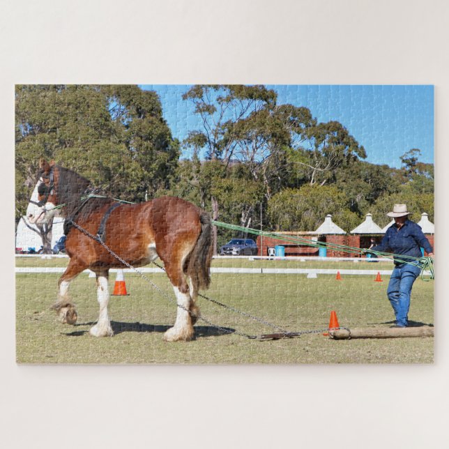 Puzzle Caballo de Clydesdale en una competencia de franqu (Horizontal)