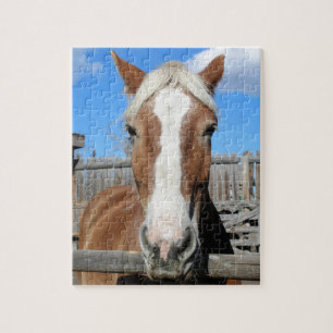 Puzzle Caballo de proyecto belga