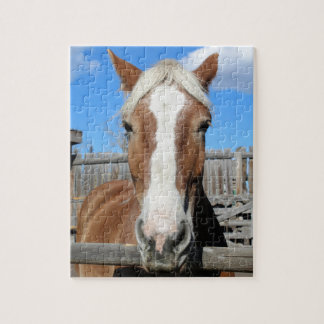 Puzzle Caballo de proyecto belga