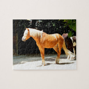Puzzle Caballo del Palomino