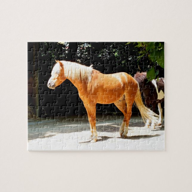 Puzzle Caballo del Palomino (Horizontal)
