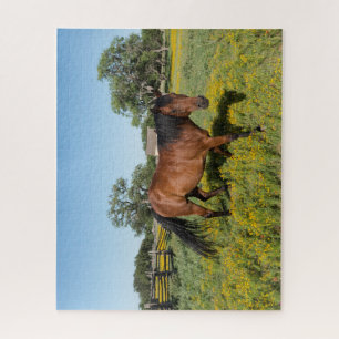 Puzzle Caballo en Medow