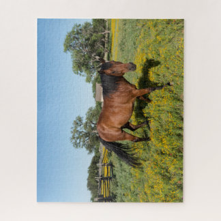 Puzzle Caballo en Medow