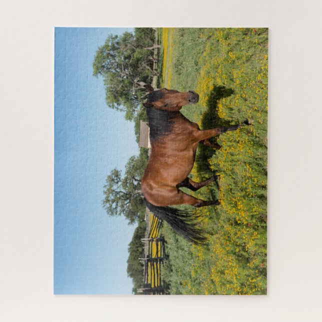 Puzzle Caballo en Medow (Vertical)
