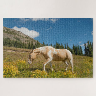 Puzzle Caballo en pastizales en una pradera alpina en ver