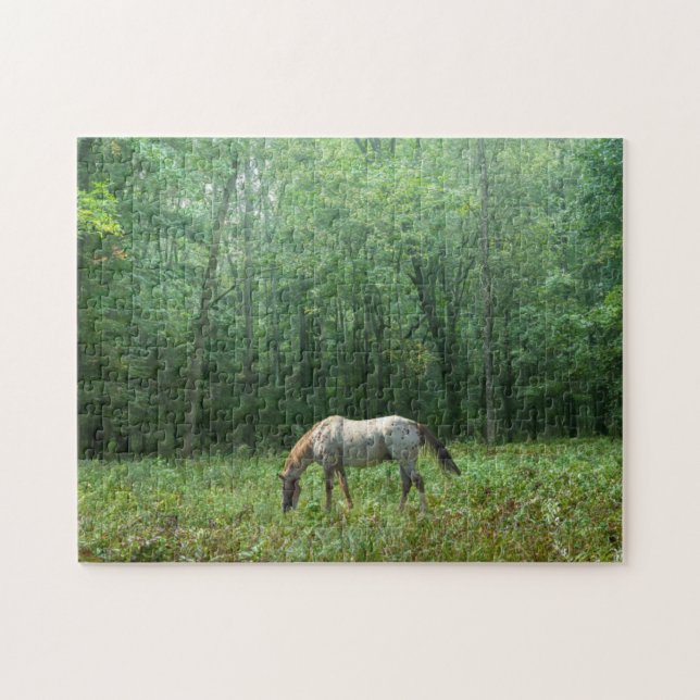 Puzzle Caballo en prado (Horizontal)