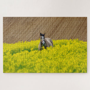 Puzzle Caballo en un campo de flores