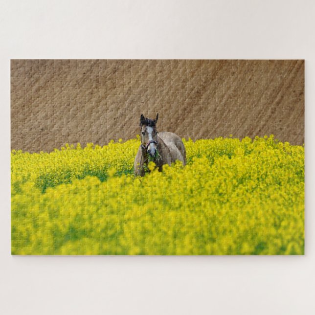 Puzzle Caballo en un campo de flores (Horizontal)