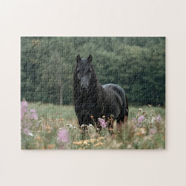 Puzzle Caballo frisón en un campo de flores silvestres (Horizontal)
