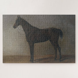 Puzzle Caballo Gelding Bay (por Albrecht Adam)