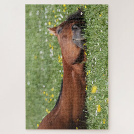 Puzzle Caballo gracioso sonriendo en el campo de hierba