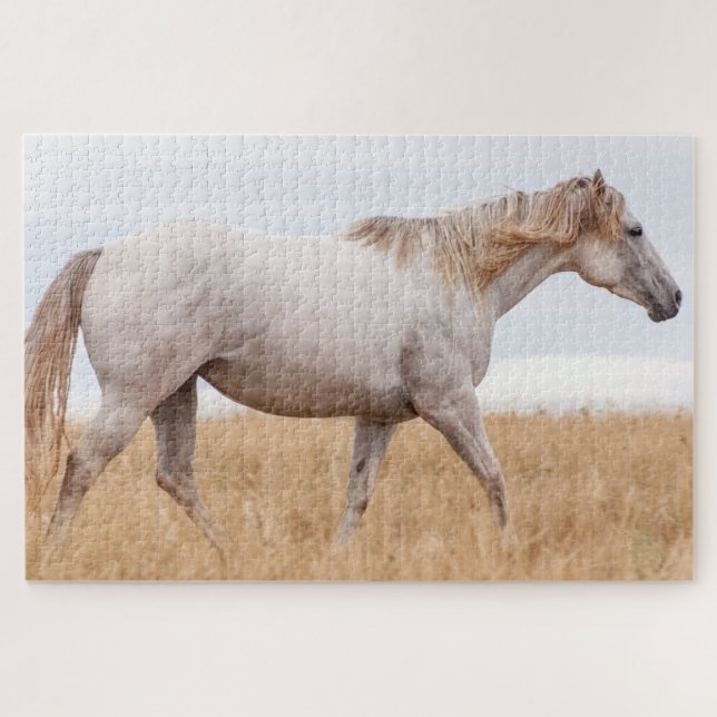 Puzzle Caballo gris caminando por el campo (Horizontal)