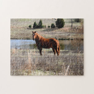 Puzzle caballo hermoso
