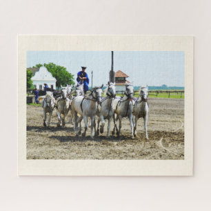 Puzzle Caballo húngaro