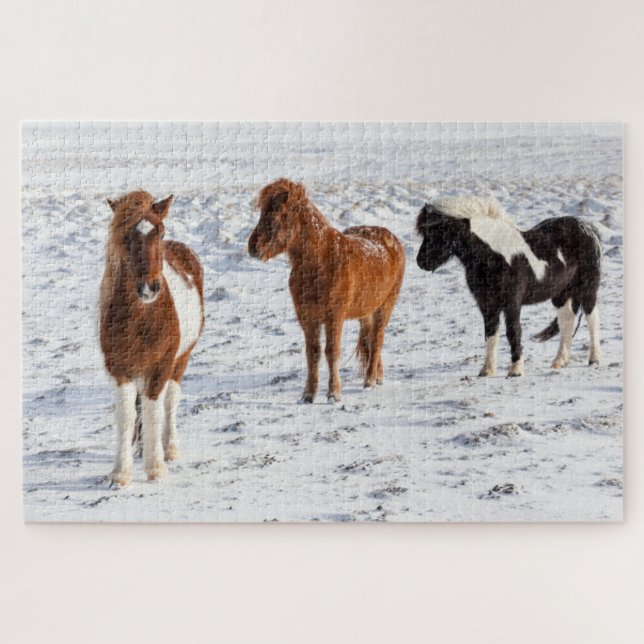Puzzle Caballo islandés con Abrigo típico de invierno (Horizontal)