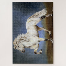 Caballo islandés con paso de nobleza