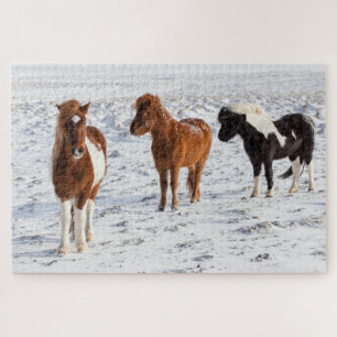 Puzzle Caballo islandés con pelaje invernal típico