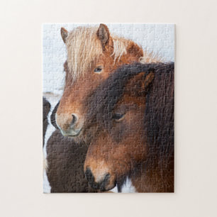 Puzzle Caballo islandés durante el invierno en Islandia