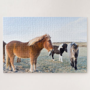 Puzzle Caballo islandés en invierno en Islandia