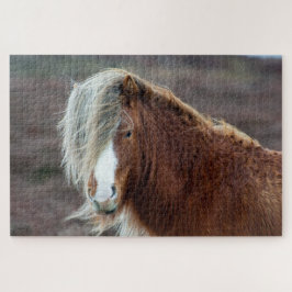 Puzzle Caballo islandés salvaje en un campo