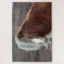 Puzzle Caballo islandés salvaje en un campo