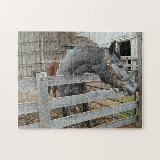 Puzzle Caballo lindo frente a un granero (Horizontal)