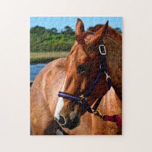 Puzzle Caballo majestuoso