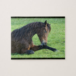 Puzzle Caballo marrón bonito en la hierba
