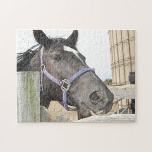 Puzzle Caballo masticando una valla