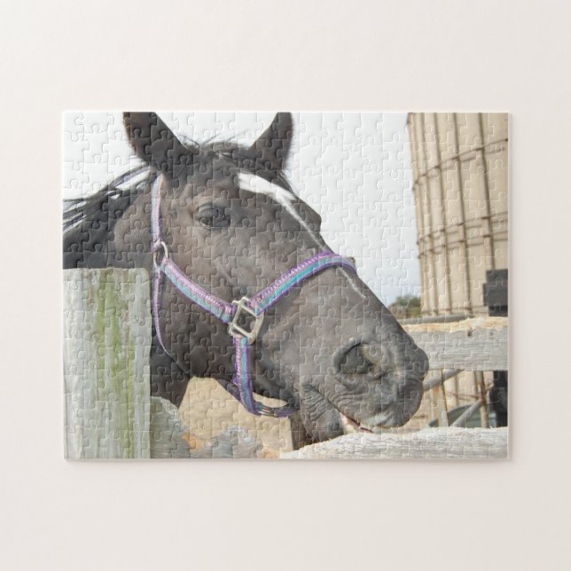 Puzzle Caballo masticando una valla (Horizontal)