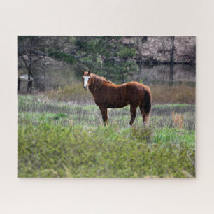 Puzzle Caballo mirando hacia atrás