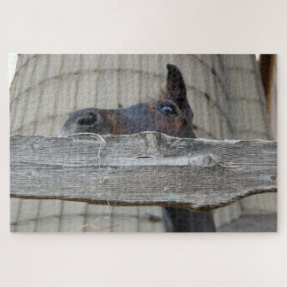 Puzzle Caballo mirando por la valla