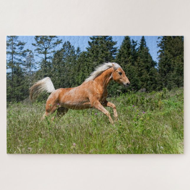 Puzzle Caballo Palomino corriendo a través de una pradera (Horizontal)