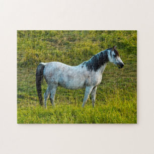 Puzzle Caballo Palouse, Colfax, Área de Palouse, Washingt