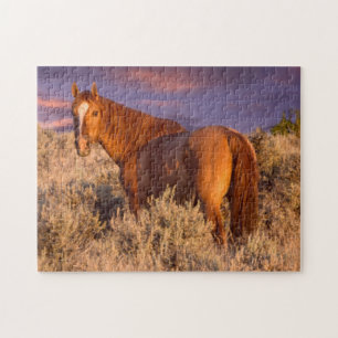Puzzle Caballo salvaje del condado de Harney permanece al