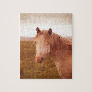 Puzzle Caballo salvaje vintage