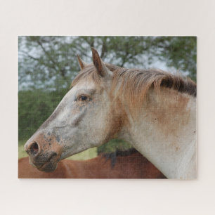 Puzzle Caballo visto