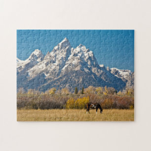 Puzzle Caballo y Grand Tetons, Moose Head Ranch