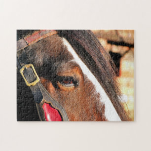 PUZZLE CABALLOS