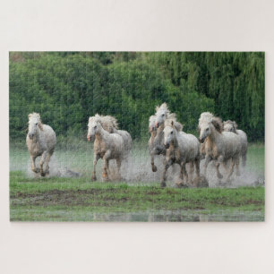 Puzzle Caballos Camargue corriendo en el agua