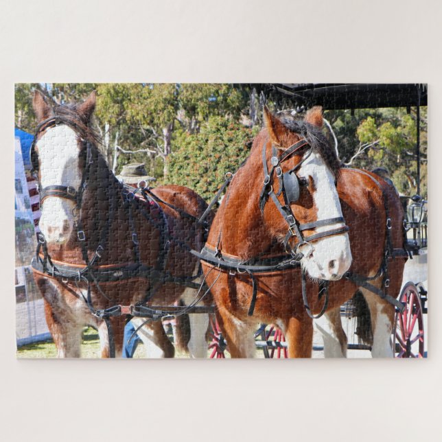 Puzzle Caballos Clydesdale aprovecharon para sacar el car (Horizontal)