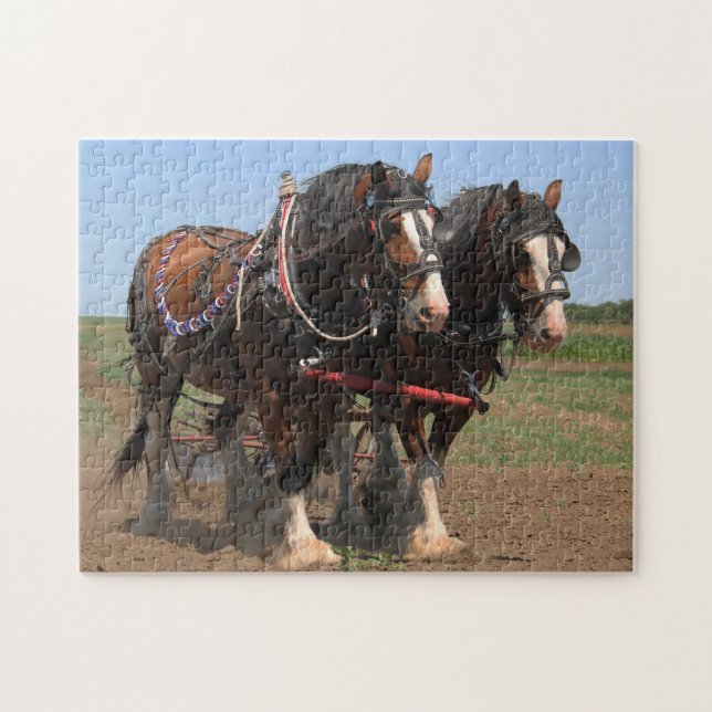 Puzzle Caballos Clydesdale Arando. (Horizontal)
