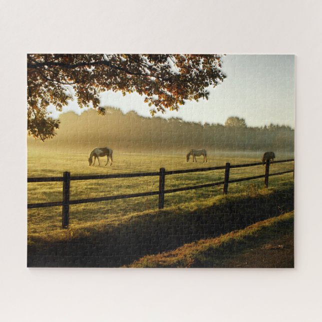 Puzzle Caballos con manchas en la pastura del amanecer (Horizontal)