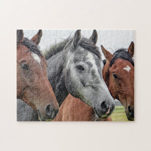 Puzzle Caballos cortos